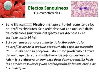 Efectos Sanguíneos
                       Glucocorticoides

   Serie Blanca        Neutrofilia: aumento del recuento de los
    neutrófilos absolutos. Se puede observar con una sola dosis
    de corticoides (aparición del efecto a las 4-6 horas y se
    sostiene hasta 24 hs).
   Esta se genera por una aumento de la liberación de los
    neutrófilos desde la medula ósea sumada a una disminución
    de su salida hacia la periferia. Esto ultimo producido a través
    de una diapedésis disminuida hacia los tejidos periféricos.
    Además, se observa un aumento de la desmarginación hacia
    las paredes vasculares y una prolongación de la vida media de
    los neutrófilos.
 