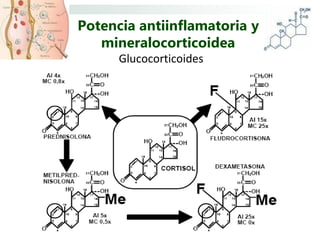 Potencia antiinflamatoria y
   mineralocorticoidea
      Glucocorticoides
 