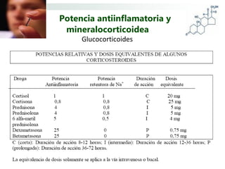 Potencia antiinflamatoria y
 mineralocorticoidea
     Glucocorticoides
 