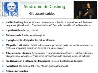 Síndrome de Cushing
                           Glucocorticoides

   Habito Cushingoide: Abdomen prominente, miembros superiores e inferiores
    delgados, giba dorsal o “cuello de búfalo”, “cara de luna llena”, eritema facial
   Hipertensión arterial, edemas
   Osteoporosis, fracturas patológicas
   Hiperglucemia, dislipidemias, hipocalcemia
   Miopatía corticoidea: debilidad muscular proximal (más frecuentemente en la
    cintura escapular), disminución de la masa muscular
   Alteraciones cutáneas: hematomas o equimosis espontáneas, estrías cutáneas
    atróficas rojo vinosas, retraso de la cicatrización de heridas, acné, hirsutismo
   Predisposición a infecciones frecuentes (virales, bacterianas, fúngicas)
   Policitemia (aumento del recuento de glóbulos blancos)
   Psicosis corticoidea
 