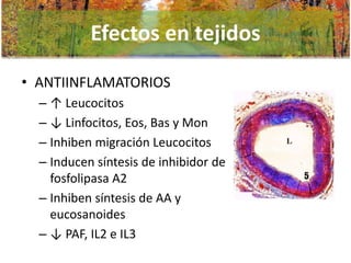 Efectos en tejidos
• ANTIINFLAMATORIOS
– ↑ Leucocitos
– ↓ Linfocitos, Eos, Bas y Mon
– Inhiben migración Leucocitos
– Inducen síntesis de inhibidor de
fosfolipasa A2
– Inhiben síntesis de AA y
eucosanoides
– ↓ PAF, IL2 e IL3

 