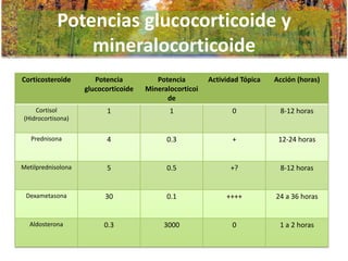 Potencias glucocorticoide y
mineralocorticoide
Corticosteroide

Potencia
glucocorticoide

Potencia
Mineralocorticoi
de

Actividad Tópica

Acción (horas)

Cortisol
(Hidrocortisona)

1

1

0

8-12 horas

Prednisona

4

0.3

+

12-24 horas

Metilprednisolona

5

0.5

+?

8-12 horas

Dexametasona

30

0.1

++++

24 a 36 horas

Aldosterona

0.3

3000

0

1 a 2 horas

 