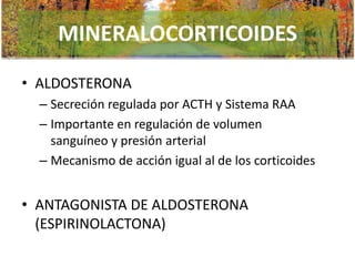 MINERALOCORTICOIDES
• ALDOSTERONA
– Secreción regulada por ACTH y Sistema RAA
– Importante en regulación de volumen
sanguíneo y presión arterial
– Mecanismo de acción igual al de los corticoides

• ANTAGONISTA DE ALDOSTERONA
(ESPIRINOLACTONA)

 