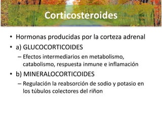 Corticosteroides
• Hormonas producidas por la corteza adrenal
• a) GLUCOCORTICOIDES
– Efectos intermediarios en metabolismo,
catabolismo, respuesta inmune e inflamación

• b) MINERALOCORTICOIDES
– Regulación la reabsorción de sodio y potasio en
los túbulos colectores del riñon

 