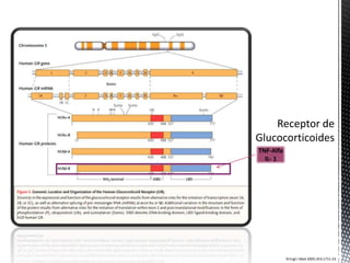 TNF-Alfa
  IL- 1




           N Engl J Med 2005;353:1711-23
 