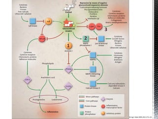 3
    2
1




            N Engl J Med 2005;353:1711-23
 