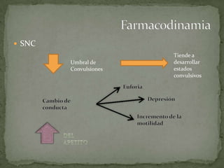  SNC
Umbral de
Convulsiones
Tiende a
desarrollar
estados
convulsivos
 