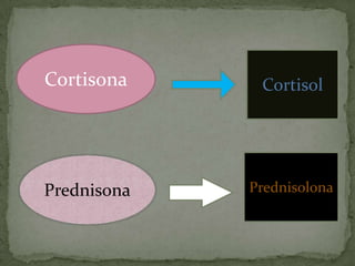 Cortisona
Prednisona
Cortisol
Prednisolona
 