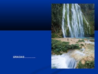 GRACIAS…………..
 