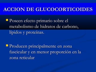 ACCION DE GLUCOCORTICOIDESACCION DE GLUCOCORTICOIDES
 Poseen efecto primario sobre elPoseen efecto primario sobre el
metabolismo de hidratos de carbono,metabolismo de hidratos de carbono,
lípidos y proteínas.lípidos y proteínas.
 Producen principalmente en zonaProducen principalmente en zona
fascicular y en menor proporción en lafascicular y en menor proporción en la
zona reticularzona reticular
 
