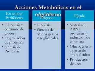 Acciones Metabólicas en elAcciones Metabólicas en el
organismoorganismo
 