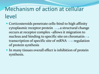 Glucocorticoids Mechanism Of Action Ppt