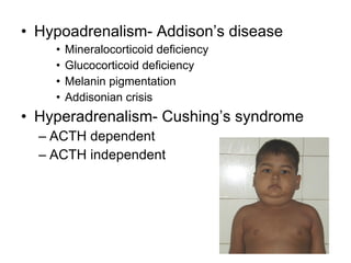 Glucocorticoids and mineralocorticoids | PPT