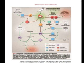 Glucocorticoids in rheumatological diseases | PPTX