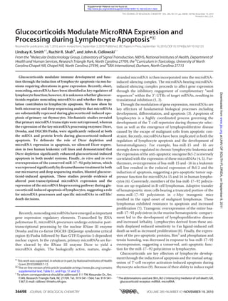 Glucocorticoids Modulate MicroRNA Expression and
Processing during Lymphocyte Apoptosis*□S
Received for publication,July 7, 2010, and in revised form, September 3, 2010 Published, JBC Papers in Press,September 16, 2010, DOI 10.1074/jbc.M110.162123
Lindsay K. Smith‡§
, Ruchir R. Shah¶
, and John A. Cidlowski‡1
From the ‡
Molecular Endocrinology Group, Laboratory of Signal Transduction, NIEHS, National Institutes of Health, Department of
Health and Human Services, Research Triangle Park, North Carolina 27709, the §
Curriculum in Toxicology, University of North
Carolina Chapel Hill, Chapel Hill, North Carolina 27599, and ¶
SRA International, Durham, North Carolina 27713
Glucocorticoids modulate immune development and func-
tion through the induction of lymphocyte apoptosis via mecha-
nisms requiring alterations in gene expression. Recently, short,
noncoding, microRNAs have been identified as key regulators of
lymphocyte function; however, it is unknown whether glucocor-
ticoids regulate noncoding microRNAs and whether this regu-
lation contributes to lymphocyte apoptosis. We now show by
both microarray and deep sequencing analysis that microRNAs
are substantially repressed during glucocorticoid-induced apo-
ptosis of primary rat thymocytes. Mechanistic studies revealed
that primary microRNA transcripts were not repressed, whereas
the expression of the key microRNA processing enzymes: Dicer,
Drosha, and DGCR8/Pasha, were significantly reduced at both
the mRNA and protein levels during glucocorticoid-induced
apoptosis. To delineate the role of Dicer depletion and
microRNA repression in apoptosis, we silenced Dicer expres-
sion in two human leukemic cell lines and demonstrated that
Dicer depletion significantly enhanced glucocorticoid-induced
apoptosis in both model systems. Finally, in vitro and in vivo
overexpression of the conserved miR-17–92 polycistron, which
was repressed significantly by dexamethasone treatment in both
our microarray and deep sequencing studies, blunted glucocor-
ticoid-induced apoptosis. These studies provide evidence of
altered post-transcriptional microRNA expression and the
repression of the microRNA bioprocessing pathway during glu-
cocorticoid-induced apoptosis of lymphocytes, suggesting a role
for microRNA processors and specific microRNAs in cell life/
death decisions.
Recently, noncoding microRNAs have emerged as important
gene expression regulatory elements. Transcribed by RNA
polymerase II, microRNA precursors undergo extensive post-
transcriptional processing by the nuclear RNase III enzyme
Drosha and its co-factor DGCR8 (DiGeorge syndrome critical
region 8)/Pasha followed by Ran-GTP/Exportin-5-dependent
nuclear export. In the cytoplasm, primary microRNAs are fur-
ther cleaved by the RNase III enzyme Dicer to yield a
microRNA duplex. The biologically active, mature, single-
stranded microRNA is then incorporated into the microRNA-
induced silencing complex. The microRNA-bearing microRNA-
induced silencing complex proceeds to affect gene expression
through the inhibitory engagement of complimentary “seed
sequences” within the 3Ј-UTRs of target mRNAs, resulting in
translational inhibition (1, 2).
Through the modulation of gene expression, microRNAs are
key effectors of fundamental biological processes including
development, differentiation, and apoptosis (3). Apoptosis of
lymphocytes is a highly coordinated process governing the
development of the T-cell repertoire during thymocyte selec-
tion as well as the emergence of lymphoproliferative disease
caused by the escape of malignant cells from apoptotic con-
straint. Recently, microRNAs have been implicated in both the
regulation of lymphocyte apoptosis and the development of
hematomalignancy. For example, hsa-miR-15 and -16 are
strongly down-regulated in chronic lymphocytic leukemia and
the expression of the anti-apoptotic oncogene Bcl-2 is inversely
correlated with the expression of these microRNAs (4, 5). Fur-
thermore, overexpression of hsa-miR-15 and -16 in a leukemic
cell line resulted in the reduced expression of Bcl-2 and the
induction of apoptosis, suggesting a pro-apoptotic tumor sup-
pressor function for microRNAs 15 and 16 in human lympho-
cytes (6). Conversely, members of the hsa-miR-17–92 polycis-
tron are up-regulated in B-cell lymphomas. Adoptive transfer
of hematopoietic stem cells bearing a truncated portion of the
mmu-miR-17–92 polycistron in c-Myc transgenic mice
resulted in the rapid onset of malignant lymphomas. These
lymphomas exhibited resistance to apoptosis and increased
proliferation (7). Transgenic overexpression of the entire hsa-
miR-17–92 polycistron in the murine hematopoietic compart-
ment led to the development of lymphoproliferative disease
and increased lethality. Lymphocytes derived from these ani-
mals displayed reduced sensitivity to Fas ligand-induced cell
death as well as increased proliferation (8). Finally, the expres-
sion of the pro-apoptotic proteins, Bim2
and phosphatase and
tensin homolog, was decreased in response to hsa-miR-17–92
overexpression, suggesting a conserved, anti-apoptotic func-
tion for the miR-17–92 polycistron in lymphocytes.
Glucocorticoids are key effectors of lymphocyte develop-
ment through the induction of apoptosis and the mutual antag-
onism of T-cell receptor activation-induced apoptosis during
thymocyte selection (9). Because of their ability to induce rapid
* Thisworkwassupported,inwholeorinpart,byNationalInstitutesofHealth
Grant Z01E5090057-12.
□S
The on-line version of this article (available at http://www.jbc.org) contains
supplemental text, Table S1, and Figs. S1 and S2.
1
To whom correspondence should be addressed: 111 TW Alexander Dr., Rm.
F349, Research Triangle Park, NC 27709. Tel.: 919-541-1564; Fax: 919-541-
1367; E-mail: cidlows1@niehs.nih.gov.
2
Theabbreviationsusedare:Bim,Bcl-2interactingmediatorofcelldeath;GR,
glucocorticoid receptor; miRNA, microRNA.
THE JOURNAL OF BIOLOGICAL CHEMISTRY VOL. 285, NO. 47, pp. 36698–36708, November 19, 2010
Printed in the U.S.A.
36698 JOURNAL OF BIOLOGICAL CHEMISTRY VOLUME 285•NUMBER 47•NOVEMBER 19, 2010
atUNIVOFSOUTHFLORIDA,onSeptember8,2011www.jbc.orgDownloadedfrom
http://www.jbc.org/content/suppl/2010/09/16/M110.162123.DC1.html
Supplemental Material can be found at:
 