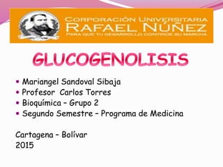 Mariangel Sandoval Sibaja
 Profesor Carlos Torres
 Bioquímica – Grupo 2
 Segundo Semestre – Programa de Medicina
Cartagena – Bolívar
2015
 
