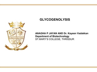 GLYCOGENOLYSIS
ANAGHA P JAYAN AND Dr. Kayeen Vadakkan
Department of Biotechnology
ST.MARY’S COLLEGE, THRISSUR
 