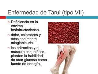 Enfermedad de Tarui (tipo VII)
 Deficiencia en la
enzima
fosfofructocinasa.
 dolor, calambres y
ocasionalmente
mioglobinuria.
 los eritrocitos y el
músculo esquelético,
pierden la habilidad
de usar glucosa como
fuente de energía.
 