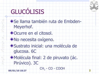 GLUCÓLISIS <ul><li>Se llama también ruta de Embden-Meyerhof. </li></ul><ul><li>Ocurre en el citosol. </li></ul><ul><li>No ...