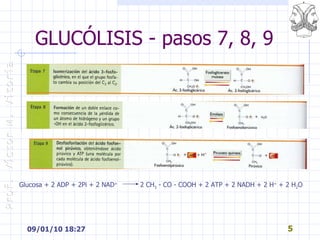 GLUCÓLISIS - pasos 7, 8, 9 Glucosa + 2 ADP + 2Pi + 2 NAD +   2 CH 3  - CO - COOH + 2 ATP + 2 NADH + 2 H +  + 2 H 2 O 