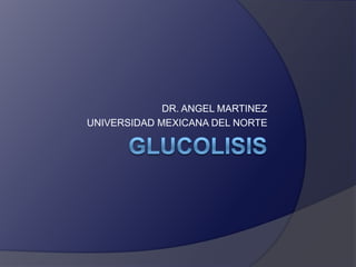 Glucolisis DR. ANGEL MARTINEZ UNIVERSIDAD MEXICANA DEL NORTE 
