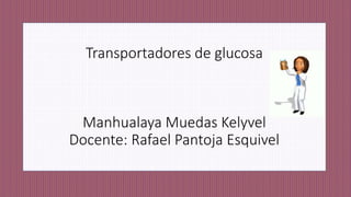 Transportadores de glucosa 
Manhualaya Muedas Kelyvel 
Docente: Rafael Pantoja Esquivel 
 