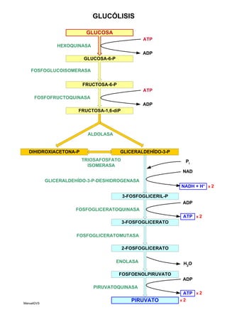 GLUCOSA
GLUCOSA-6-P
FRUCTOSA-6-P
FRUCTOSA-1,6-diP
DIHIDROXIACETONA-P
3-FOSFOGLICERIL-P
3-FOSFOGLICERATO
2-FOSFOGLICERATO
FOSFOENOLPIRUVATO
PIRUVATO
HEXOQUINASA
FOSFOGLUCOISOMERASA
FOSFOFRUCTOQUINASA
ALDOLASA
TRIOSAFOSFATO
ISOMERASA
GLICERALDEHÍDO-3-P
GLICERALDEHÍDO-3-P-DESHIDROGENASA
FOSFOGLICERATOQUINASA
FOSFOGLICERATOMUTASA
ENOLASA
PIRUVATOQUINASA
ATP
ADP
ATP
ADP
NAD
NADH + H+
Pi
ADP
ATP
H2
O
ADP
ATP
GLUCÓLISIS
x 2
x 2
x 2
x 2
ManuelGVS
 