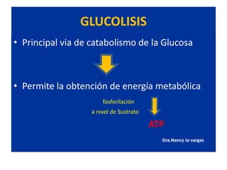 GLUCOLISIS
• Principal via de catabolismo de la Glucosa
• Permite la obtención de energía metabólica
fosforilación
a nivel de Sustrato
ATP
Dra.Nancy Jo vargas
 