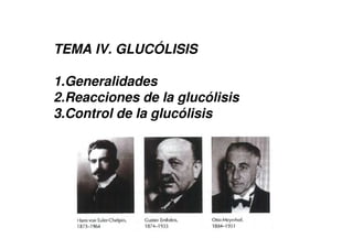 TEMA IV. GLUCÓLISIS
1.Generalidades
2.Reacciones de la glucólisis
3.Control de la glucólisis
 