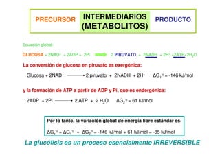 PRECURSOR PRODUCTO
INTERMEDIARIOS
(METABOLITOS)
Glucosa + 2NAD+ 2 piruvato + 2NADH + 2H+ ∆G1
‘o = -146 kJ/mol
La conversión de glucosa en piruvato es exergónica:
2ADP + 2Pi 2 ATP + 2 H2O ∆G2
‘o = 61 kJ/mol
y la formación de ATP a partir de ADP y Pi, que es endergónica:
Por lo tanto, la variación global de energía libre estándar es:
∆Gs
‘o = ∆G1
‘o + ∆G2
‘o = -146 kJ/mol + 61 kJ/mol = -85 kJ/mol
La glucólisis es un proceso esencialmente IRREVERSIBLE
Ecuación global:
GLUCOSA + 2NAD+ + 2ADP + 2Pi 2 PIRUVATO + 2NADH + 2H+ +2ATP+2H2O
 
