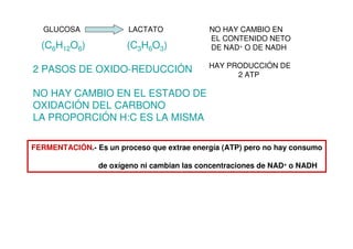 GLUCOSA LACTATO NO HAY CAMBIO EN
EL CONTENIDO NETO
DE NAD+ O DE NADH
HAY PRODUCCIÓN DE
2 ATP
(C6H12O6) (C3H6O3)
2 PASOS DE OXIDO-REDUCCIÓN
NO HAY CAMBIO EN EL ESTADO DE
OXIDACIÓN DEL CARBONO
LA PROPORCIÓN H:C ES LA MISMA
FERMENTACIÓN.- Es un proceso que extrae energía (ATP) pero no hay consumo
de oxígeno ni cambian las concentraciones de NAD+ o NADH
 