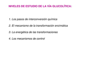 NIVELES DE ESTUDIO DE LA VÍA GLUCOLÍTICA:
1. Los pasos de interconversión química
2. El mecanismo de la transformación enzimática
3. La energética de las transformaciones
4. Los mecanismos de control
 