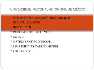 UNIVERSIDAD NACIONAL AUTONOMA DE MÉXICO

 COLEGIO DE CIENCIAS Y HUMANIDADES
 PLANTEL ORIENTE
 BIOLOGIA III
 PROFESOR: HUGO OLVERA
 MESA 2:
 NAYELY SANTIAGO TECOTL
 LIMA FUENTES CARLOS MICHEL
 GRUPO: 505
 