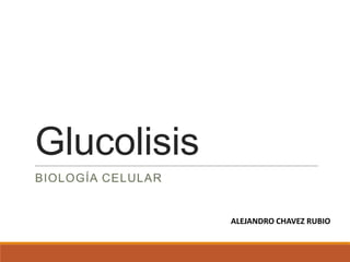Glucolisis
BIOLOGÍA CELULAR

ALEJANDRO CHAVEZ RUBIO

 