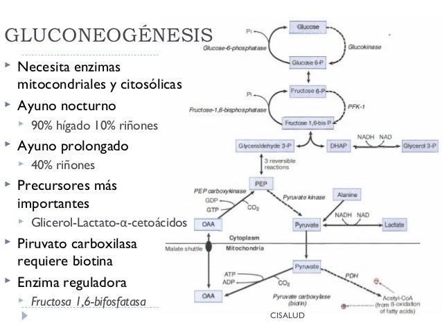 Bioquímica Patológica Bioquímica Patológica