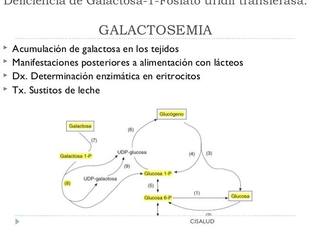 Bioquímica Patológica