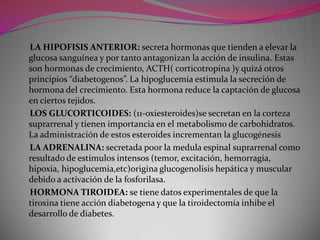      LA HIPOFISIS ANTERIOR: secreta hormonas que tienden a elevar la glucosa sanguínea y por tanto antagonizan la acción de insulina. Estas son hormonas de crecimiento, ACTH( corticotropina )y quizá otros principios “diabetogenos”. La hipoglucemia estimula la secreción de hormona del crecimiento. Esta hormona reduce la captación de glucosa en ciertos tejidos.     LOS GLUCORTICOIDES: (11-oxiesteroides)se secretan en la corteza suprarrenal y tienen importancia en el metabolismo de carbohidratos. La administración de estos esteroides incrementan la glucogénesis     LA ADRENALINA: secretada p0or la medula espinal suprarrenal como resultado de estímulos intensos (temor, excitación, hemorragia, hipoxia, hipoglucemia,etc)origina glucogenolisis hepática y muscular debido a activación de la fosforilasa.     HORMONA TIROIDEA: se tiene datos experimentales de que la tiroxina tiene acción diabetogena y que la tiroidectomía inhibe el desarrollo de diabetes.