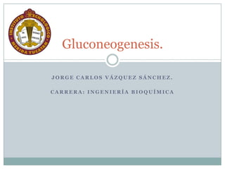Gluconeogenesis.

JORGE CARLOS VÁZQUEZ SÁNCHEZ.

CARRERA: INGENIERÍA BIOQUÍMICA
 