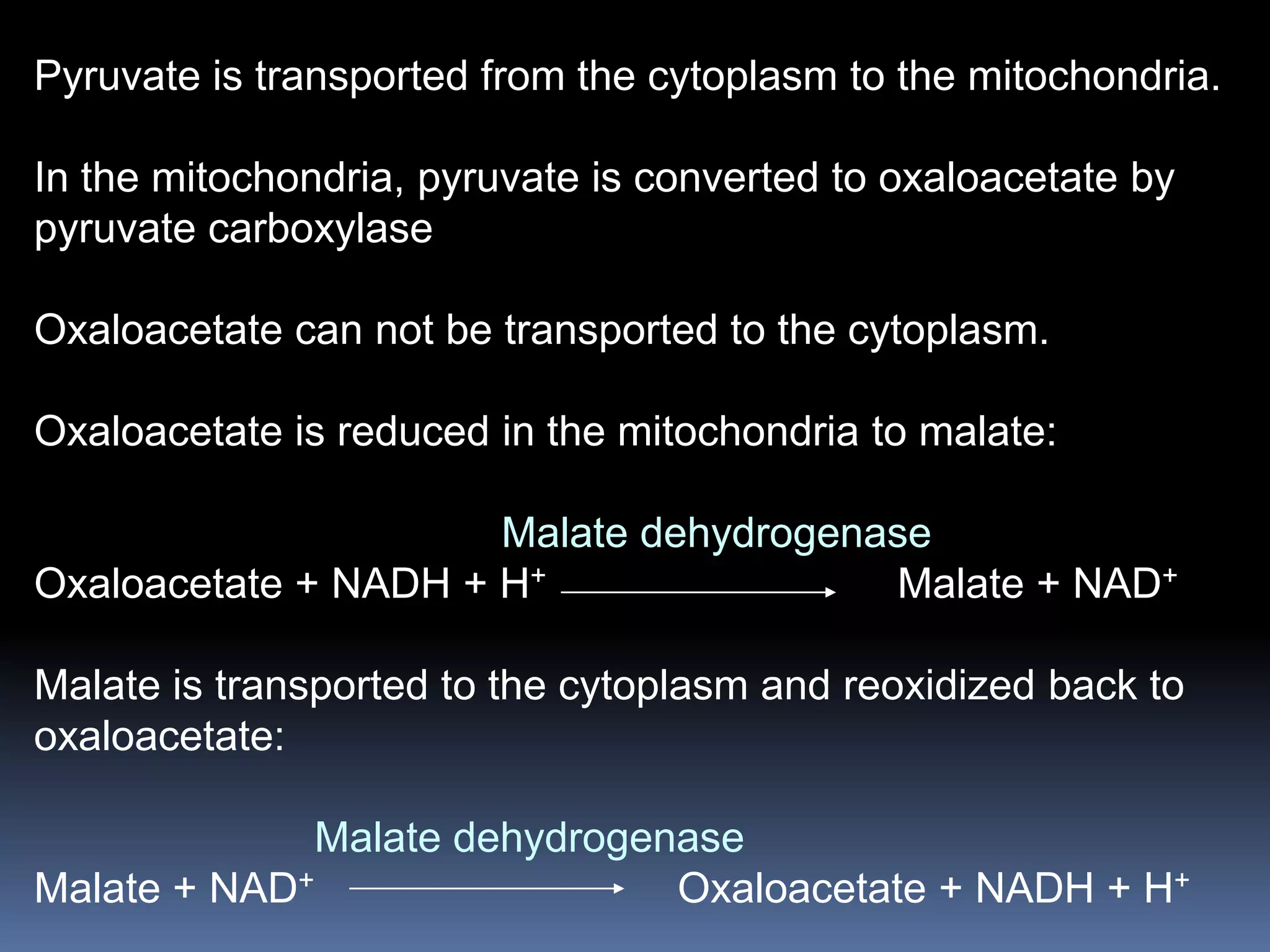 Pyruvate is transported from the cytoplasm to the mitochondria.
In the mitochondria, pyruvate is converted to oxaloacetate by
pyruvate carboxylase
Oxaloacetate can not be transported to the cytoplasm.
Oxaloacetate is reduced in the mitochondria to malate:
Malate dehydrogenase
Oxaloacetate + NADH + H+ Malate + NAD+
Malate is transported to the cytoplasm and reoxidized back to
oxaloacetate:
Malate dehydrogenase
Malate + NAD+ Oxaloacetate + NADH + H+
 
