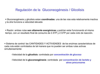 Regulación de la Gluconeogénesis / Glicolisis
Gluconeogénesis y glicolisis estan coordinadas: una de las vias esta relativamente inactiva
y la otra funciona a velocidad elevada
Razón: ambas rutas son altamente exergónicas y podrían estar funcionando al mismo
tiempo, con un resultado final de consumo de 2 ATP y 2 GTP por cada ciclo de reacción.
Sistema de control: las CANTIDADES Y ACTIVIDADES de los enzimas característicos de
cada ruta están controlados de tal manera que no pueden ser ambas rutas activas
simultaneamente:
-Velocidad de la glicolisis: controlada por concentración de glucosa
-Velocidad de la gluconeogénesis: controlada por concentración de lactato y
otros precursores
 