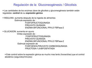 Regulación de la Gluconeogénesis / Glicolisis
Las cantidades de los enzimas clave de glicolisis y gluconeogénesis también están
reguladas: control de su expresión génica
INSULINA: aumenta después de la ingesta de alimentos
Estimula expresión de :
FOSFOFRUCTOQUINASA
PIRUVATO QUINASA
ENZIMA BIFUNCIONAL PFK-2/ FBPasa-2
GLUCAGON: aumenta en ayuno
Inhibe expresión de :
FOSFOFRUCTOQUINASA
PIRUVATO QUINASA
ENZIMA BIFUNCIONAL PFK-2/ FBPasa-2
Estimula expresión de
FOSFOENOLPIRUVATO CARBOXIQUINASA
FRUCTOSA-1,6-BIFOSFATASA
Este control sobre la expresión génica es mucho mas lento (horas/días) que el control
alostérico (segundos/minutos)
 