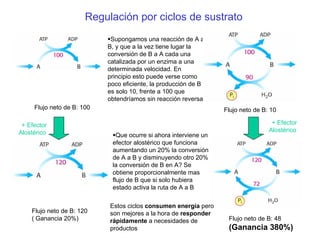 Regulación por ciclos de sustrato
Supongamos una reacción de A a
B, y que a la vez tiene lugar la
conversión de B a A cada una
catalizada por un enzima a una
determinada velocidad. En
principio esto puede verse como
poco eficiente, la producción de B
es solo 10, frente a 100 que
obtendríamos sin reacción reversa
Que ocurre si ahora interviene un
efector alostérico que funciona
aumentando un 20% la conversión
de A a B y disminuyendo otro 20%
la conversión de B en A? Se
obtiene proporcionalmente mas
flujo de B que si solo hubiera
estado activa la ruta de A a B
Flujo neto de B: 100 Flujo neto de B: 10
Flujo neto de B: 120
( Ganancia 20%) Flujo neto de B: 48
(Ganancia 380%)
+ Efector
Alostérico
Estos ciclos consumen energía pero
son mejores a la hora de responder
rápidamente a necesidades de
productos
+ Efector
Alostérico
 