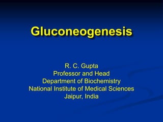 Gluconeogenesis
R. C. Gupta
Professor and Head
Department of Biochemistry
National Institute of Medical Sciences
Jaipur, India
 