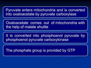 Pyruvate enters mitochondria and is converted
into oxaloacetate by pyruvate carboxylase
Oxaloacetate comes out of mitochondria with
the help of malate shuttle
It is converted into phosphoenol pyruvate by
phosphoenol pyruvate carboxykinase
The phosphate group is provided by GTP
 