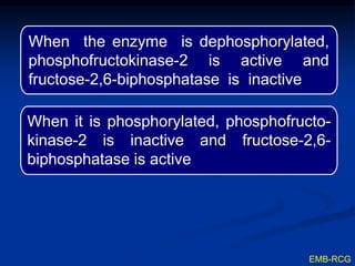When it is phosphorylated, phosphofructo-
kinase-2 is inactive and fructose-2,6-
biphosphatase is active
EMB-RCG
When the enzyme is dephosphorylated,
phosphofructokinase-2 is active and
fructose-2,6-biphosphatase is inactive
 