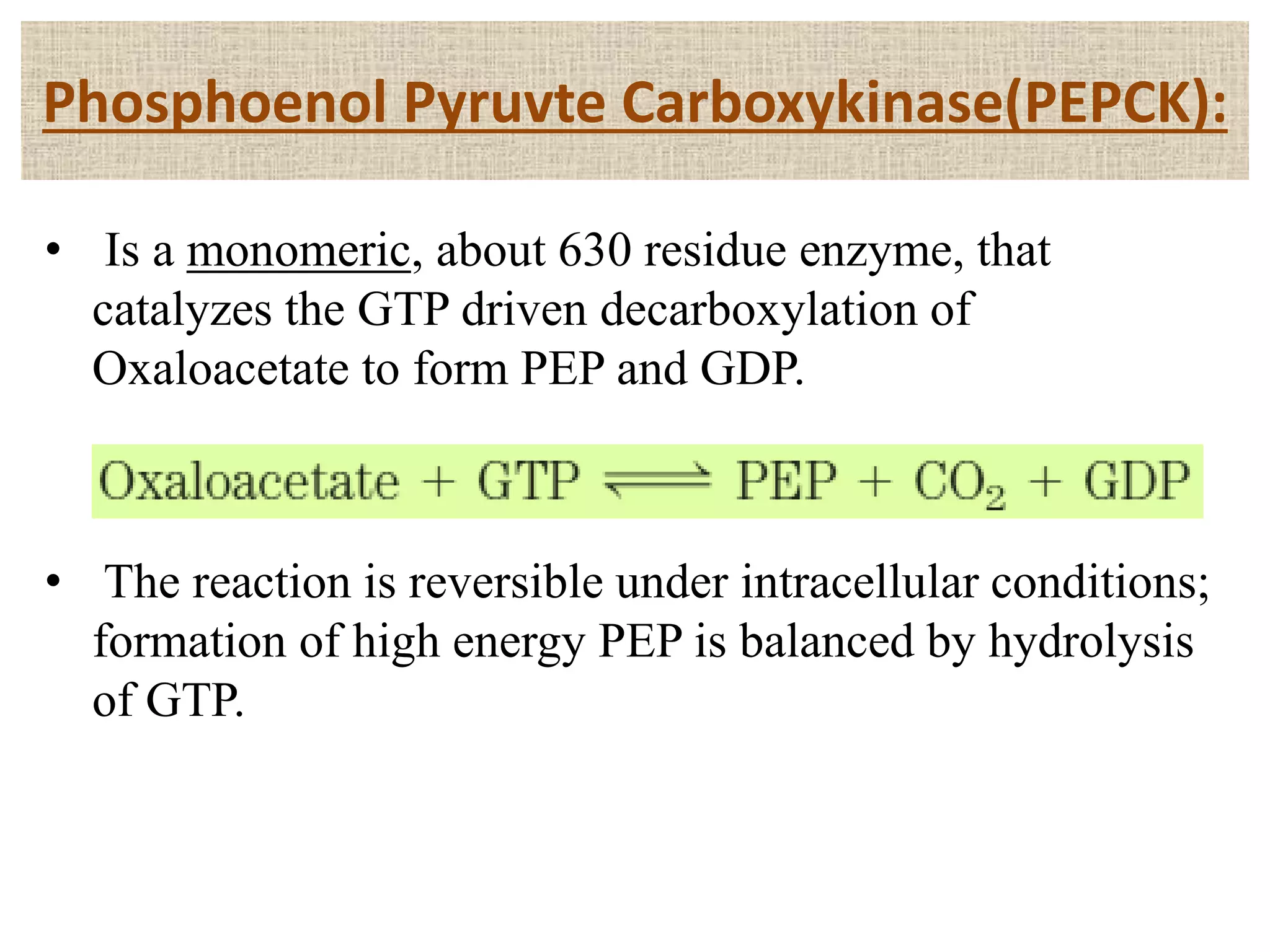 Phosphoenol Pyruvte Carboxykinase(PEPCK):
• Is a monomeric, about 630 residue enzyme, that
catalyzes the GTP driven decarboxylation of
Oxaloacetate to form PEP and GDP.
• The reaction is reversible under intracellular conditions;
formation of high energy PEP is balanced by hydrolysis
of GTP.
 