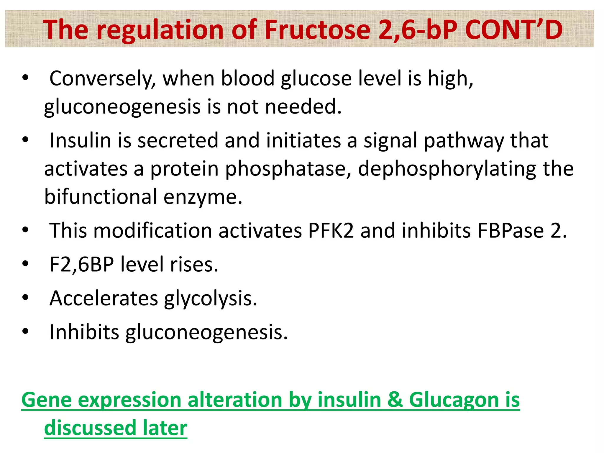 • Conversely, when blood glucose level is high,
gluconeogenesis is not needed.
• Insulin is secreted and initiates a signal pathway that
activates a protein phosphatase, dephosphorylating the
bifunctional enzyme.
• This modification activates PFK2 and inhibits FBPase 2.
• F2,6BP level rises.
• Accelerates glycolysis.
• Inhibits gluconeogenesis.
Gene expression alteration by insulin & Glucagon is
discussed later
The regulation of Fructose 2,6-bP CONT’D
 