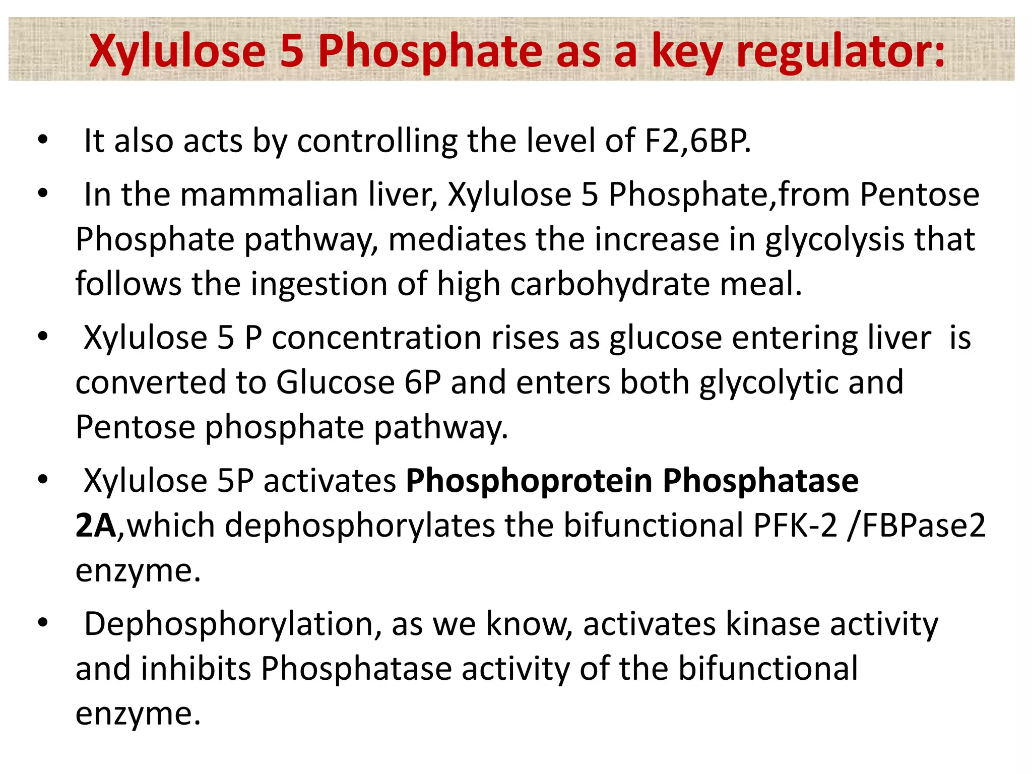 • It also acts by controlling the level of F2,6BP.
• In the mammalian liver, Xylulose 5 Phosphate,from Pentose
Phosphate pathway, mediates the increase in glycolysis that
follows the ingestion of high carbohydrate meal.
• Xylulose 5 P concentration rises as glucose entering liver is
converted to Glucose 6P and enters both glycolytic and
Pentose phosphate pathway.
• Xylulose 5P activates Phosphoprotein Phosphatase
2A,which dephosphorylates the bifunctional PFK-2 /FBPase2
enzyme.
• Dephosphorylation, as we know, activates kinase activity
and inhibits Phosphatase activity of the bifunctional
enzyme.
Xylulose 5 Phosphate as a key regulator:
 