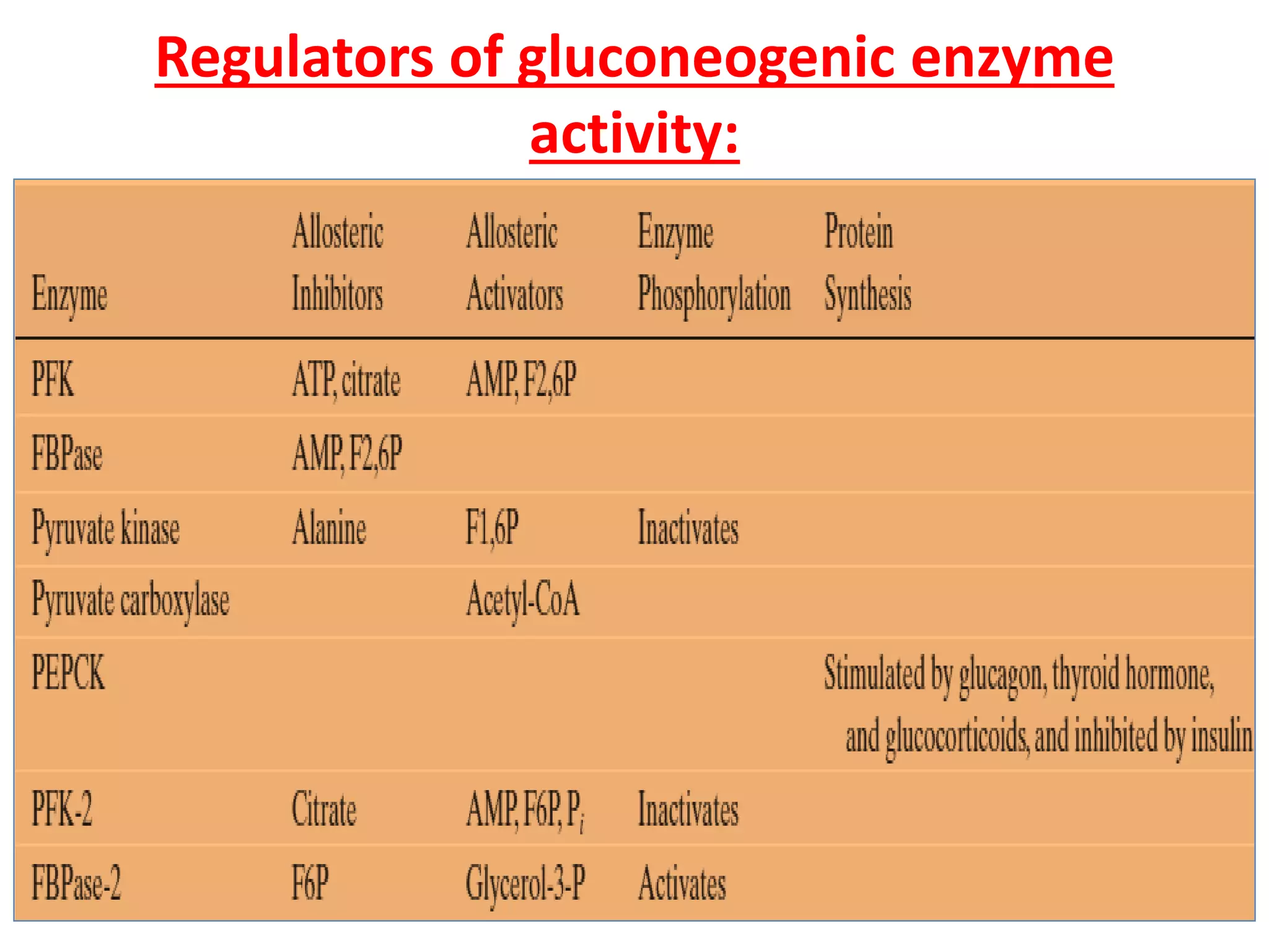 Regulators of gluconeogenic enzyme
activity:
 
