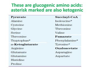 These are glucogenic amino acids:
asterisk marked are also ketogenic
 
